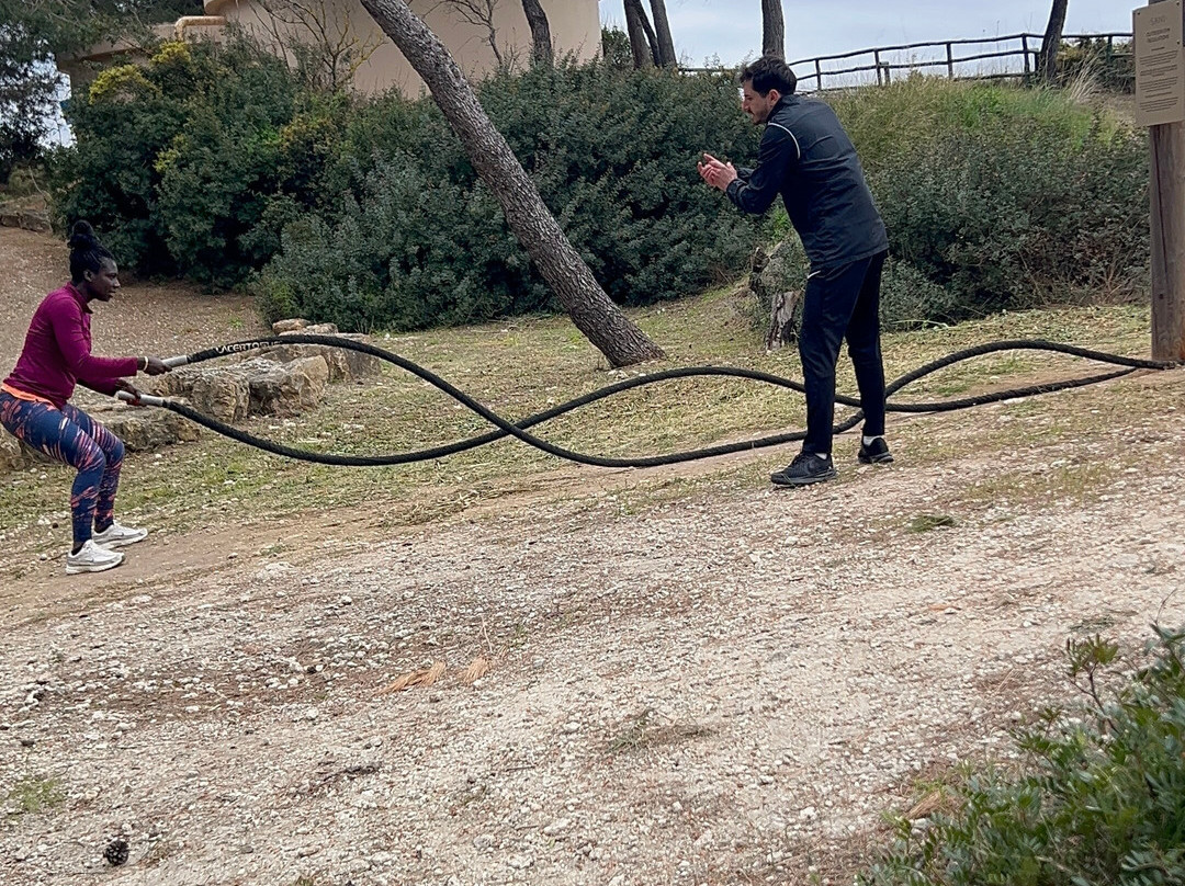 Calas Sani Villas主图