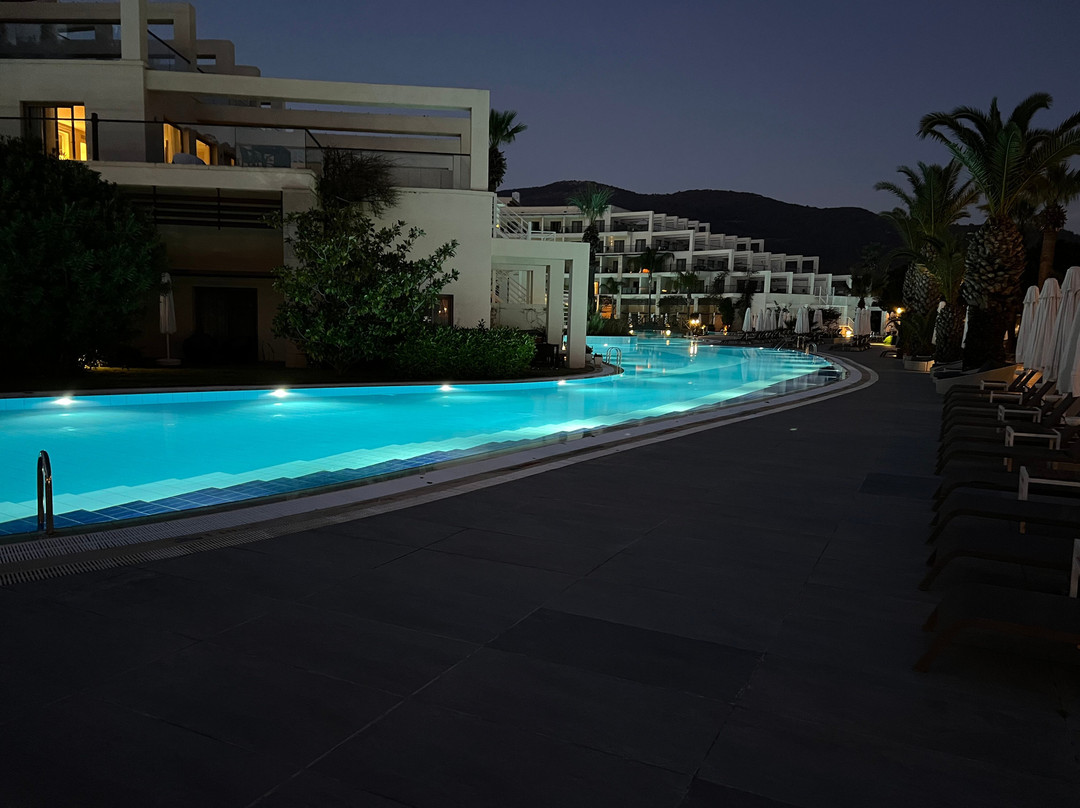 帕洛玛帕夏 - 全包式主图