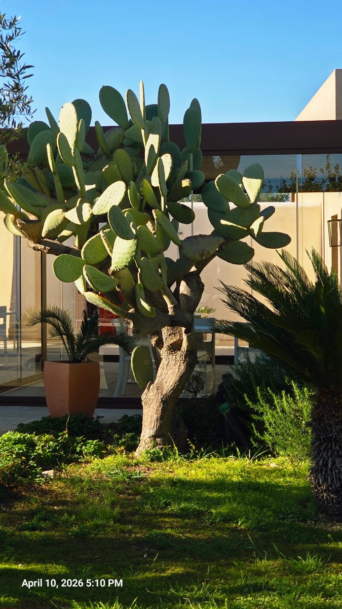 康姆比奥卡瓦洛联合国教科文组织区度假村-旅行者