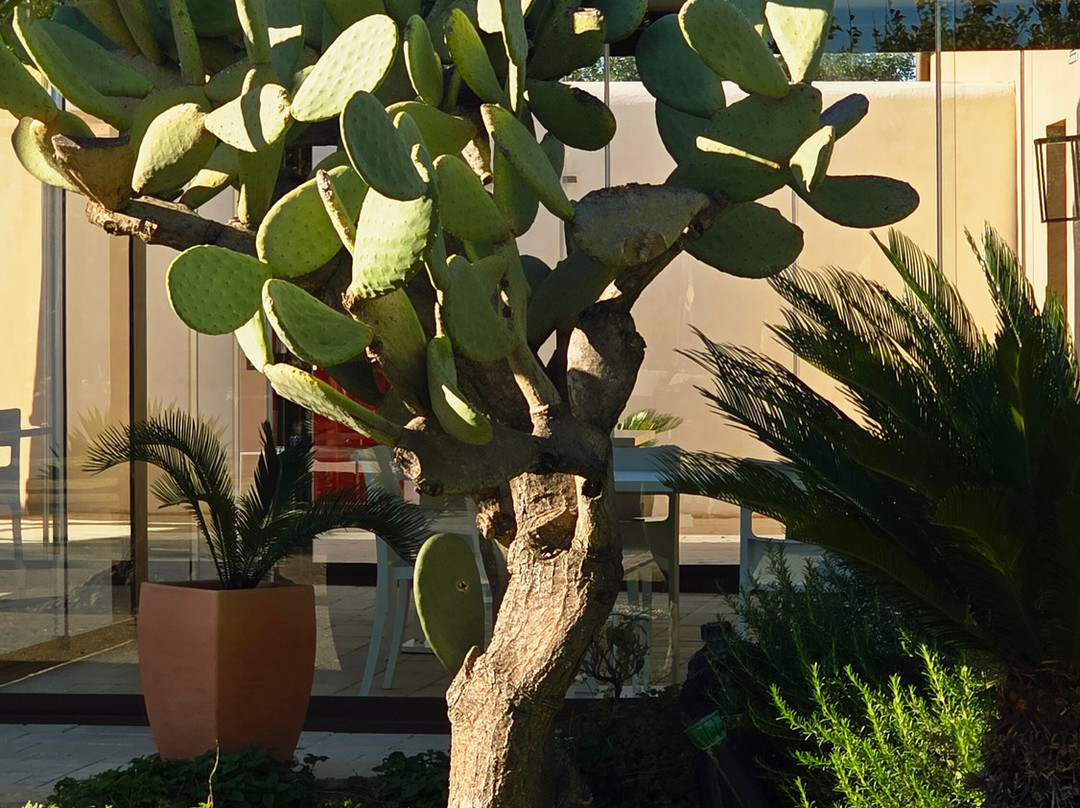 康姆比奥卡瓦洛联合国教科文组织区度假村主图