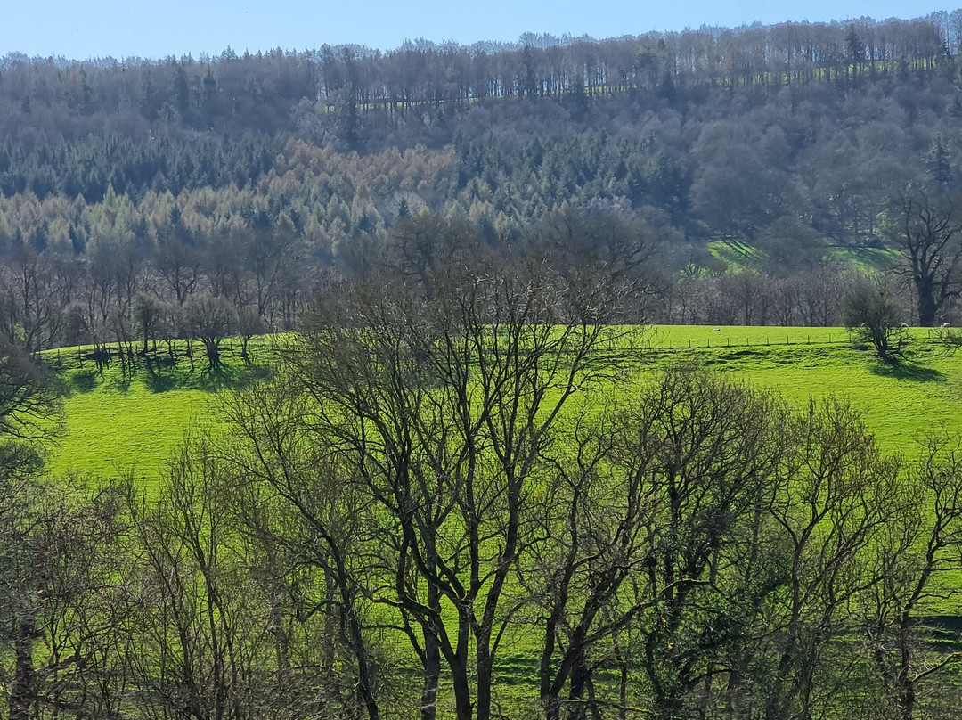 Welshpool and Llanfair Light Railway-Welshpool必去景点