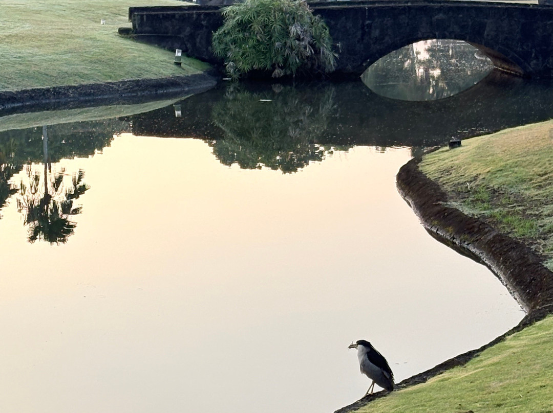 马拉拉亚特山套房主图