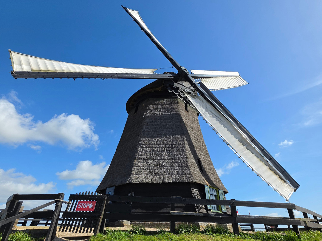 Toms Travel Tours-阿姆斯特丹必去景点