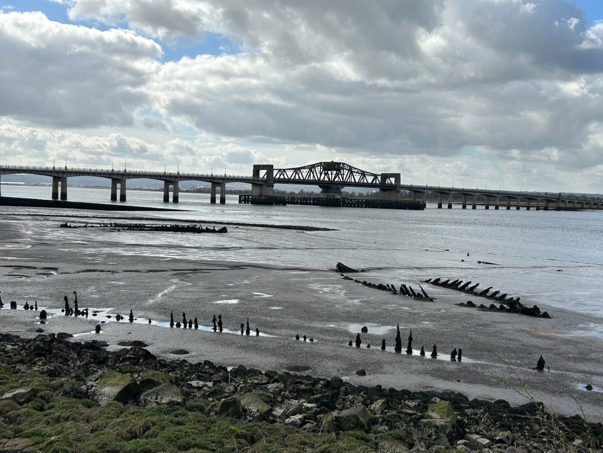 麦克唐纳诺伍德厅堂酒店-旅行者