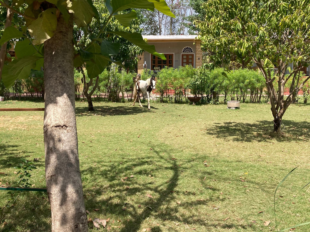 Maa Ashapura Farm Stay Hotel-Ranthambore Resort主图
