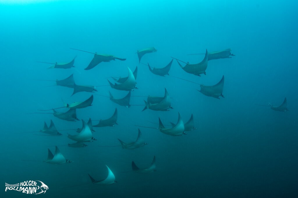 Scuba Coiba-Santa Catalina必去景点
