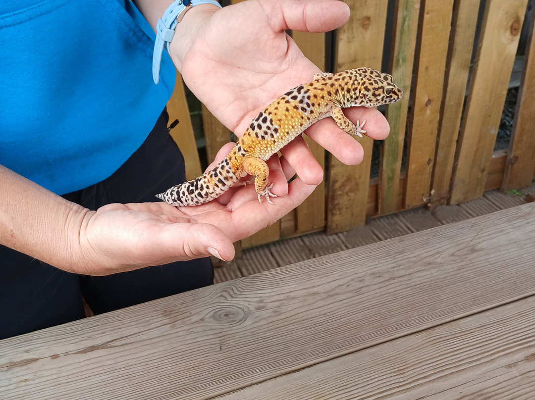 Manorafon Farm Park-Abergele必去景点