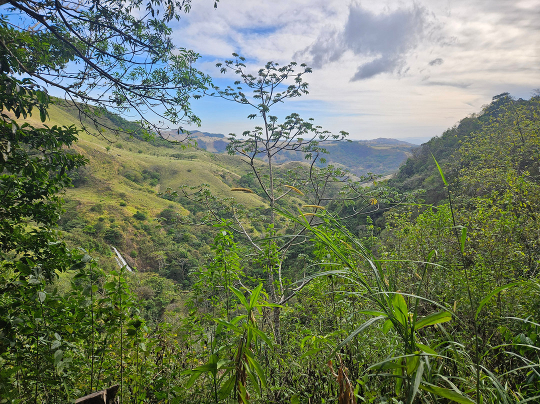 Manakin Waterfalls Nature Reserve.