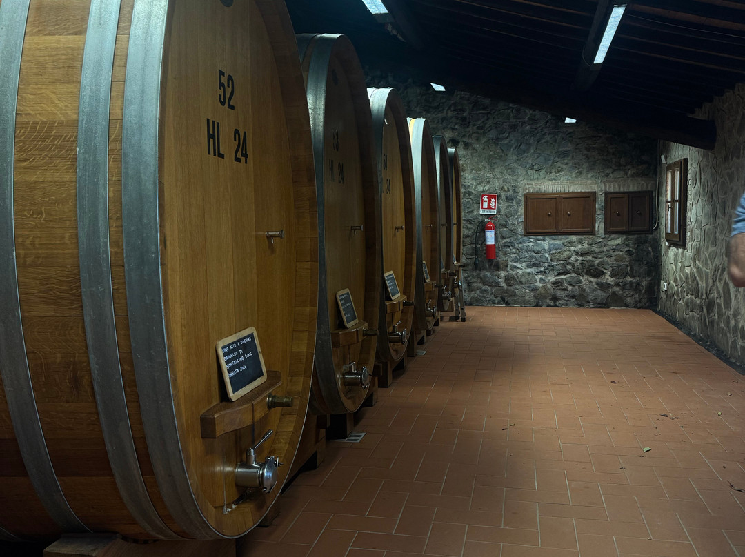 Casanuova delle Cerbaie-蒙塔尔奇诺必去景点