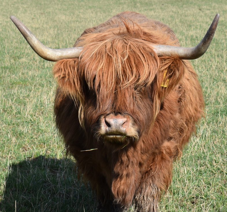 Newton Farm Holidays & Tours-旅行者
