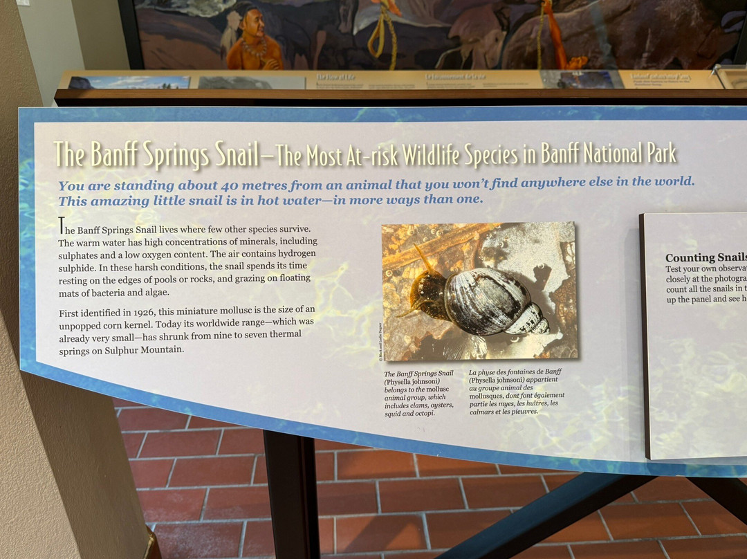 洞穴与盆地国家历史遗址 -班夫必去景点