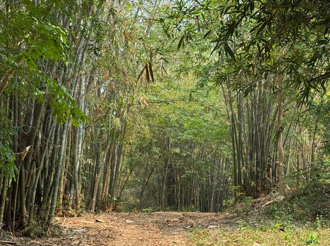 Karen Long Neck Village-夜林必去景点