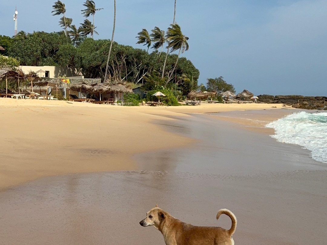 Drive with Nuwan-Pamunugama必去景点