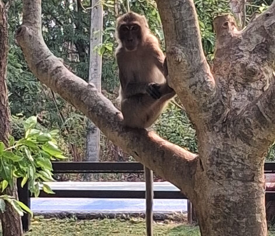 Khao Nang Phanthurat Forest Park-七岩必去景点