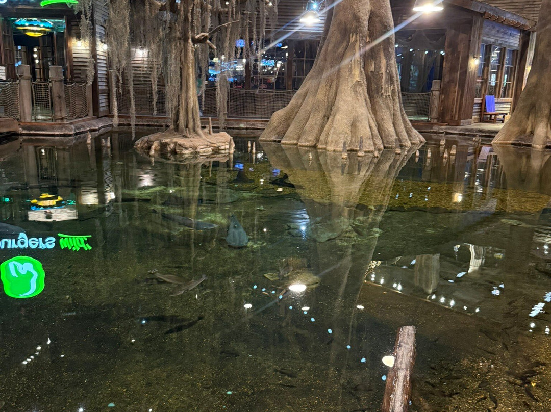 Ducks Unlimited Waterfowling Heritage Center-孟菲斯必去景点