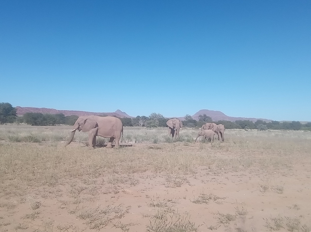 Dessert Elephants Conservation - Kunene Region-Opuwo必去景点