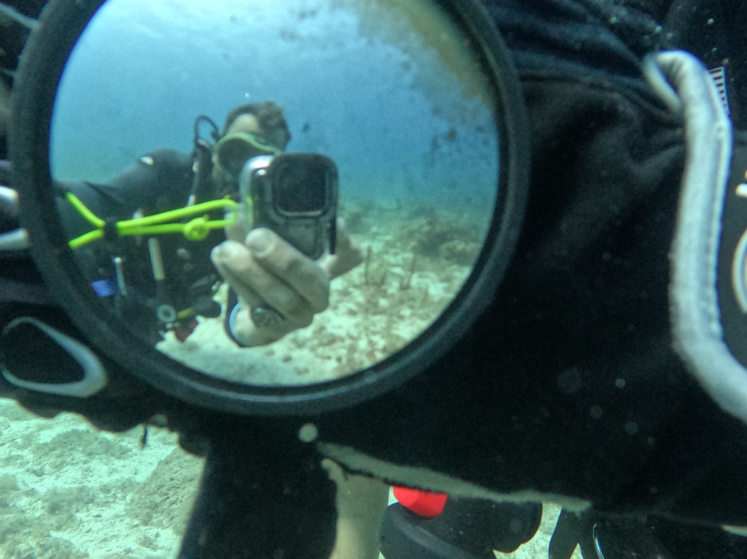 Aruba Bob Snorkel & Scuba-阿鲁巴岛必去景点