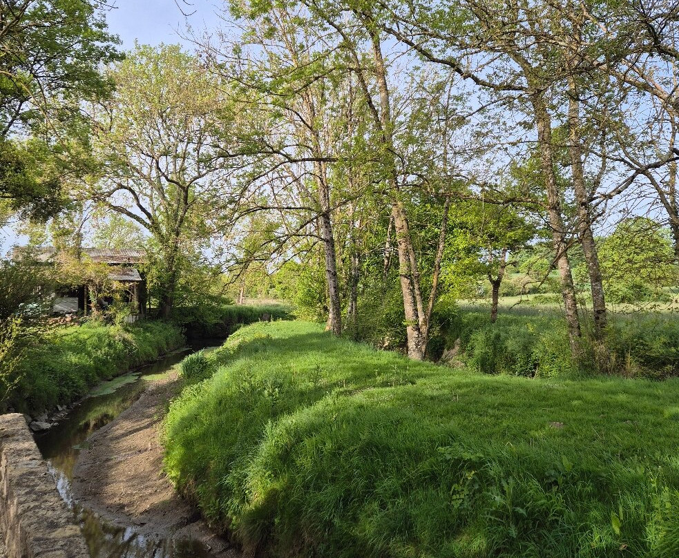 Le Moulin d'Olivet主图