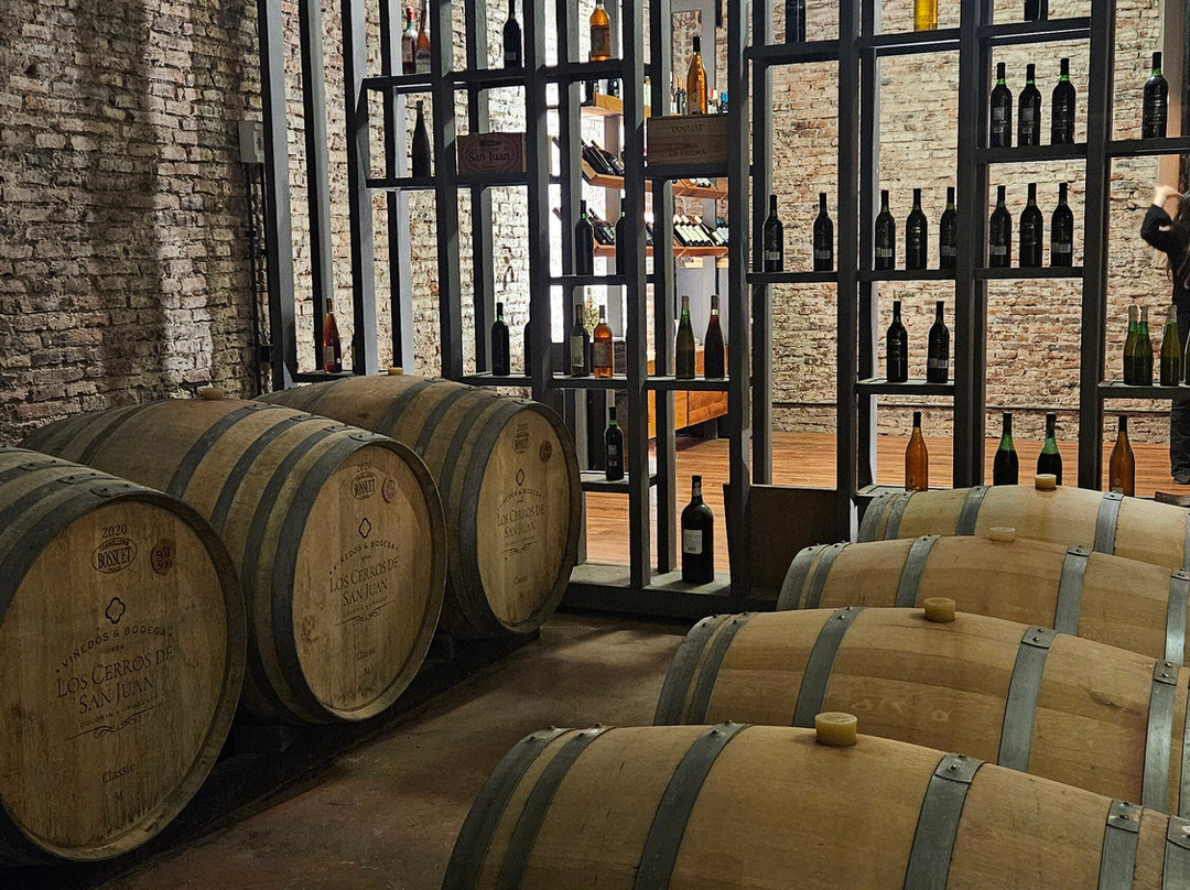 Bodega Los Cerros De San Juan-科洛尼亚·德尔萨克拉门托城必去景点