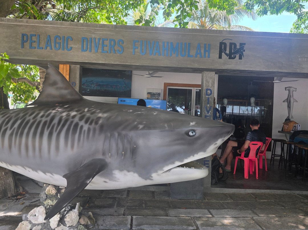 Pelagic Divers Fuvahmulah-Fuvahmulah必去景点