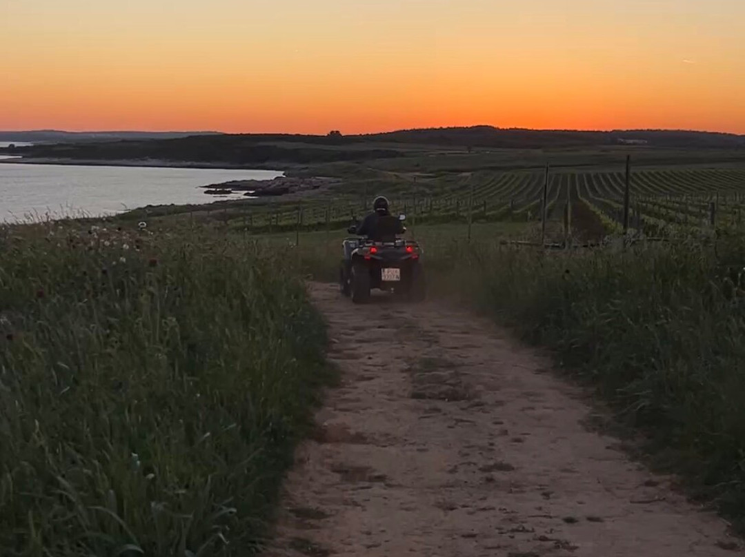 Dust & Ride Istria - Quad & Bike-Liznjan必去景点