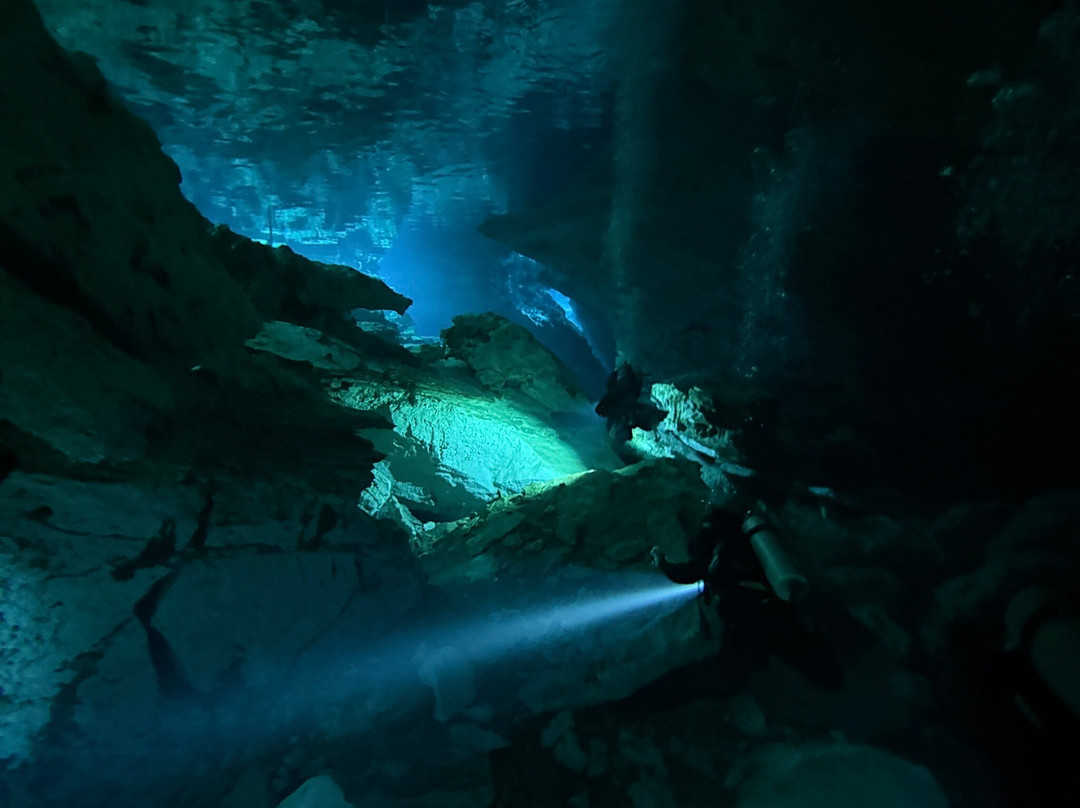 Dressel Divers Playa Del Carmen-普拉亚德尔卡曼必去景点