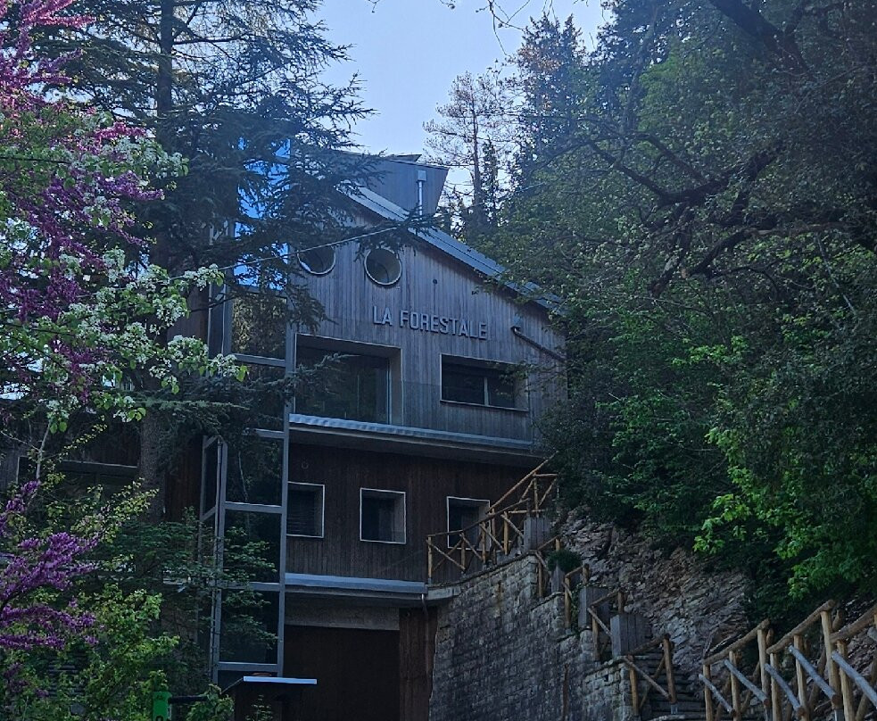 LA FORESTALE 豪华生态旅馆主图