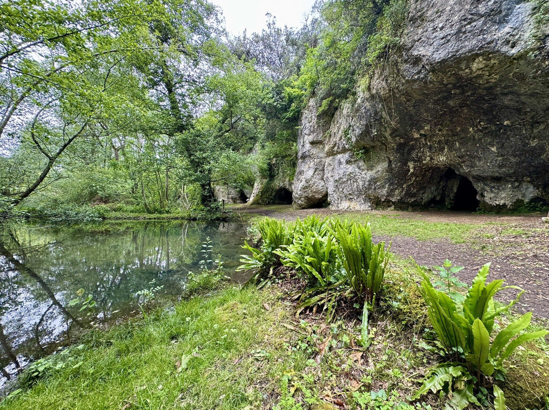 Château de La Roche Courbon-Saint Porchaire必去景点