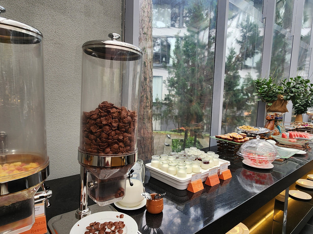 大叻特拉可塔酒店及度假村主图