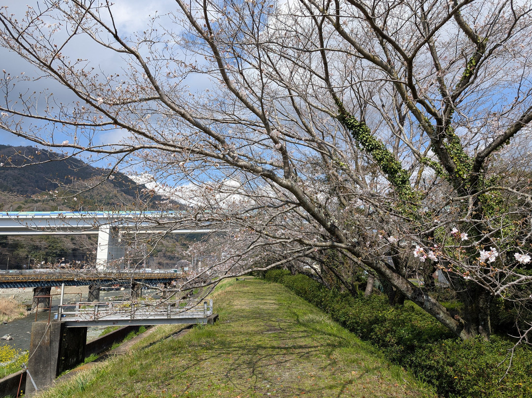 Koyama Shimizu Park-松田町必去景点