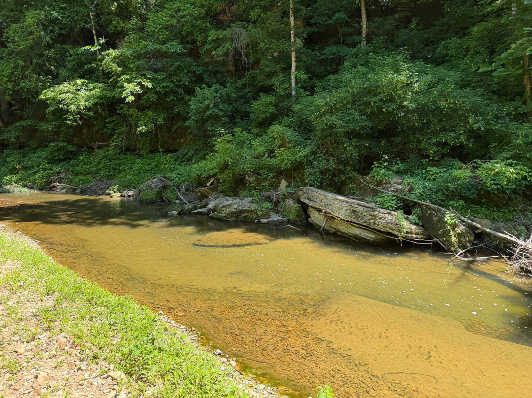 Natchez Trace Stables-Primm Springs必去景点