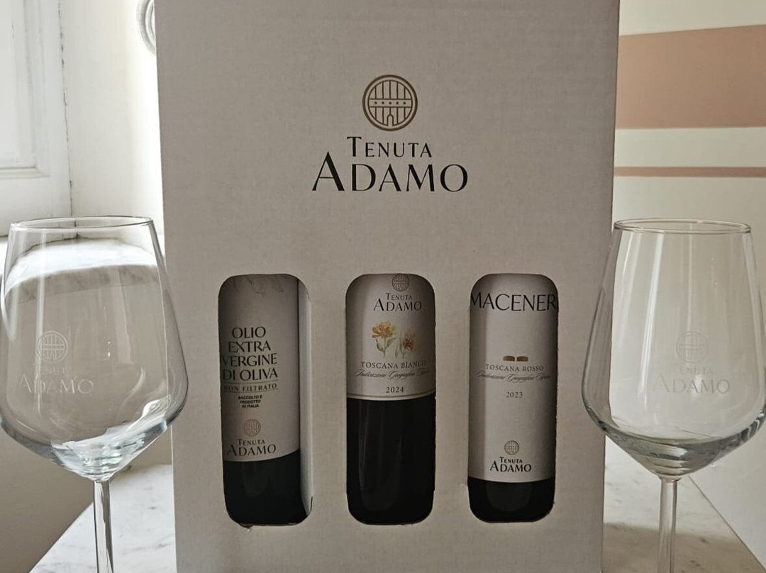 Tenuta Adamo Winery-卢卡必去景点