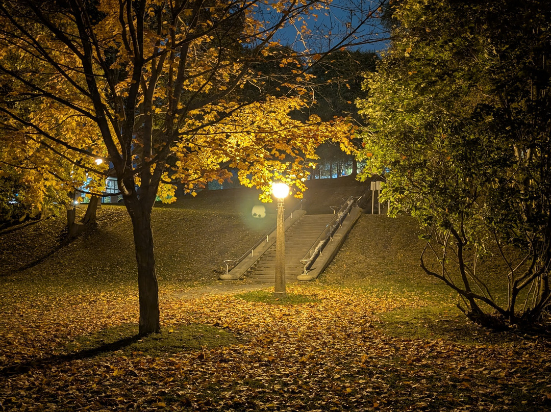 Strathcona Park-渥太华必去景点