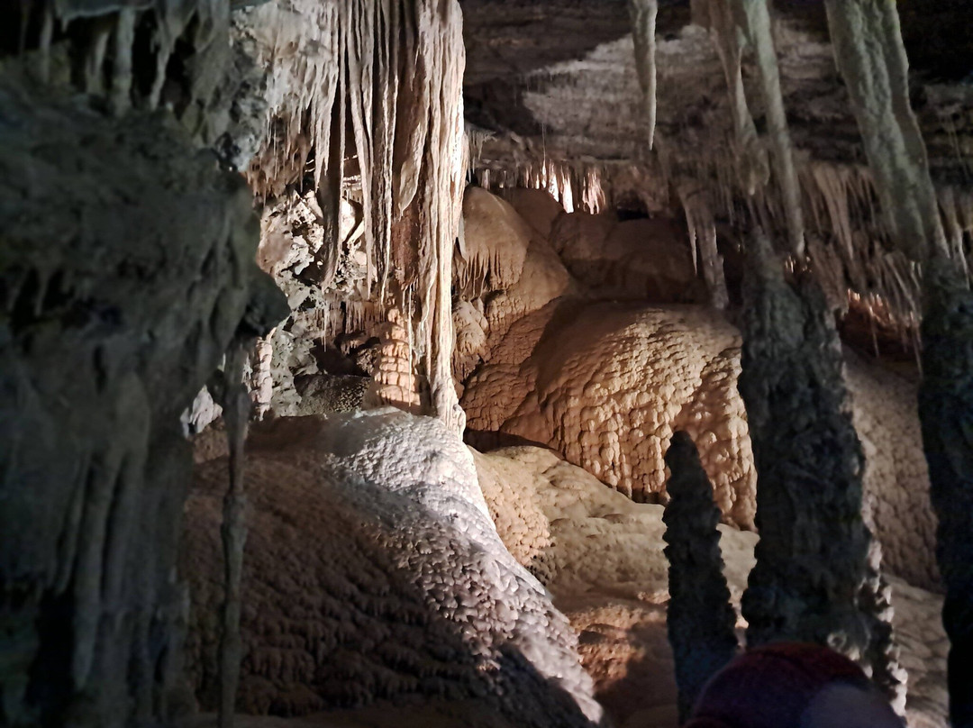 Marakoopa Cave-茉莉溪必去景点