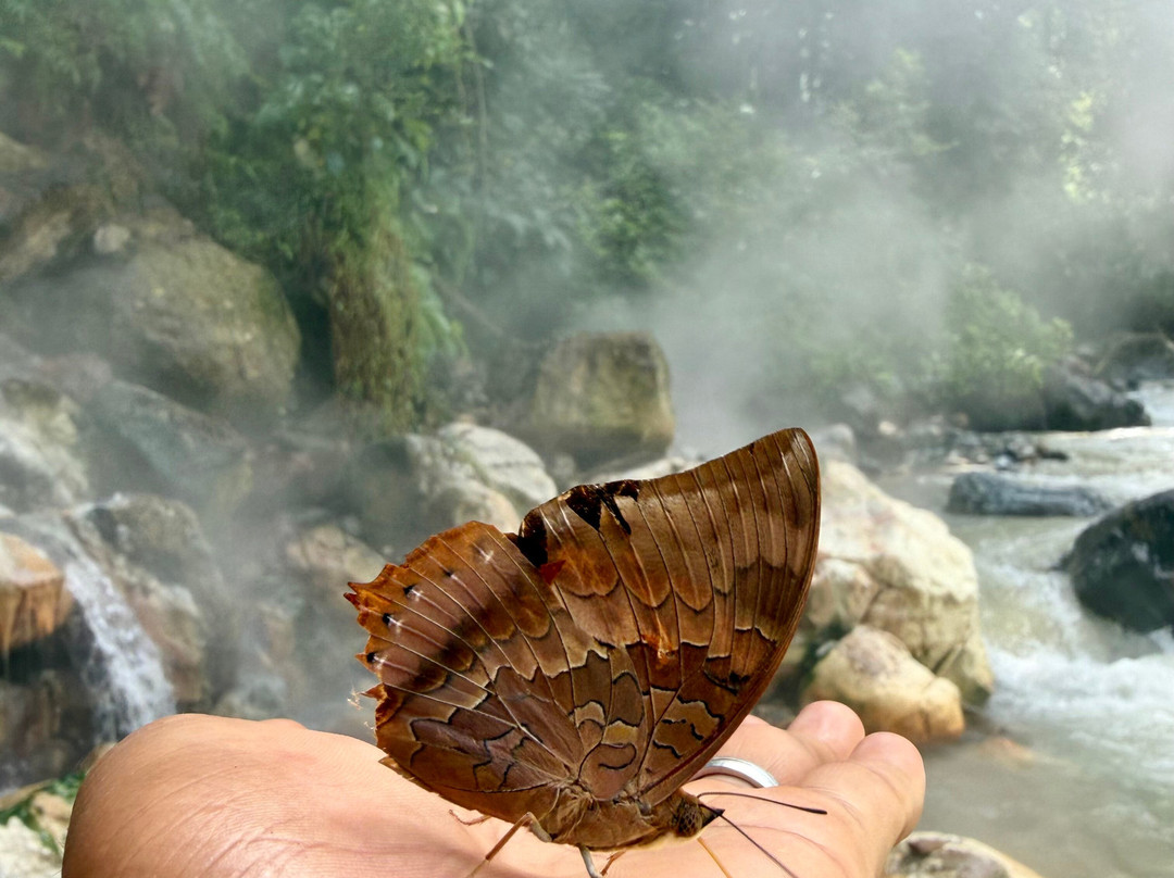 Local Jungle Trekking Guide-Ketambe必去景点