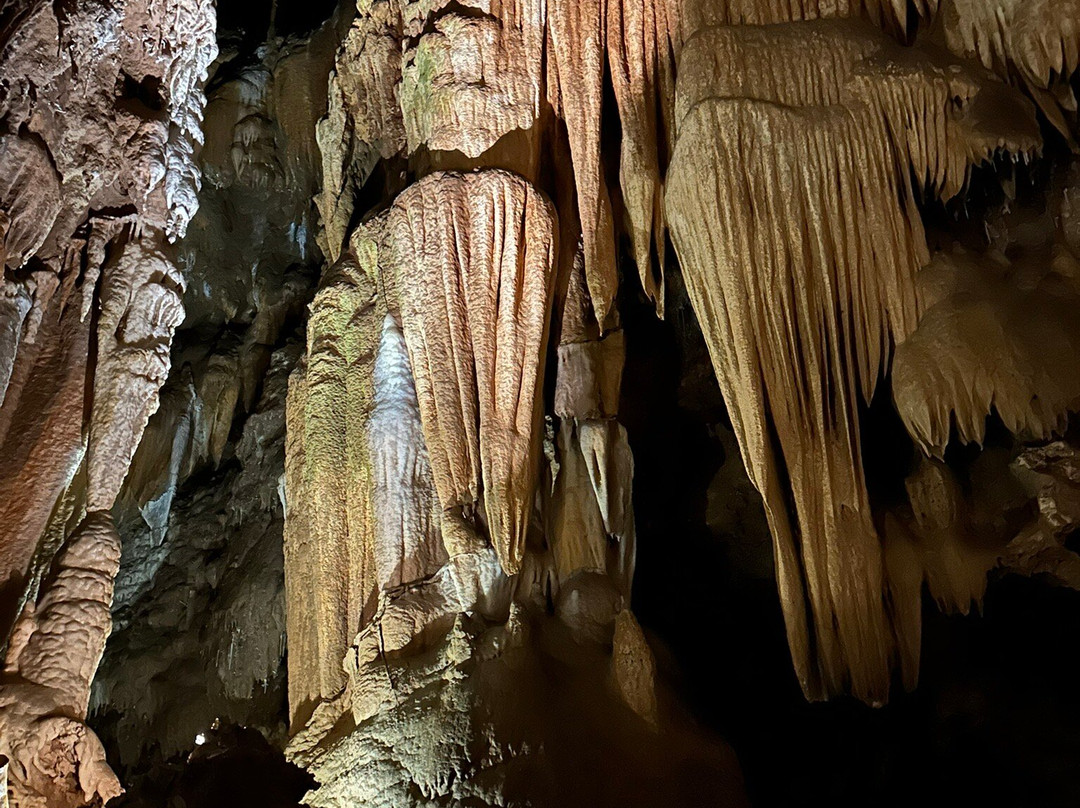 Grotte de Clamouse-Saint-Jean-de-Fos必去景点