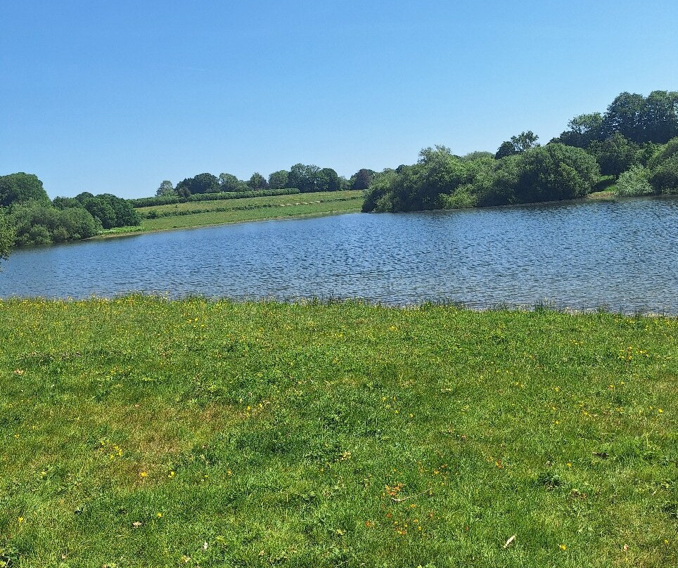 Bewl Water-Lamberhurst必去景点