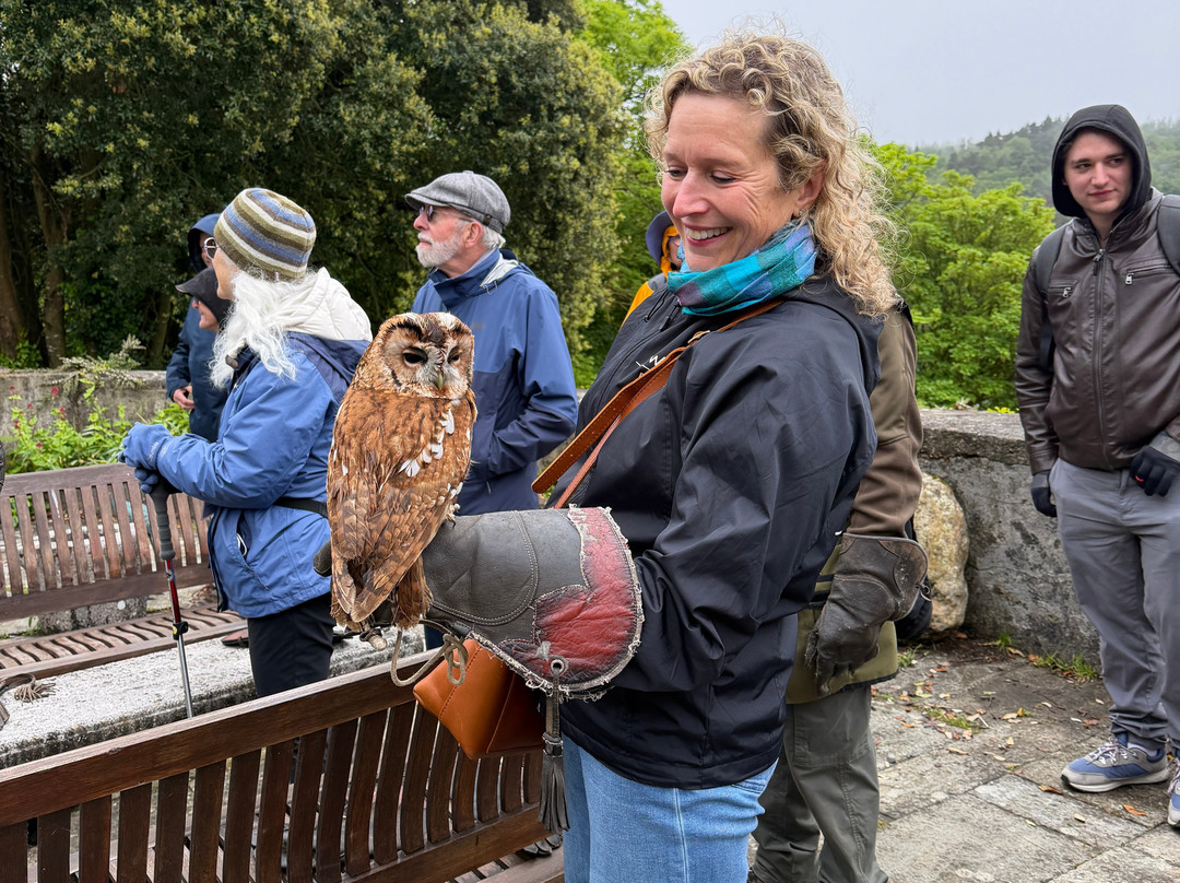 Mayfield Birds of Prey-Kilmacthomas必去景点