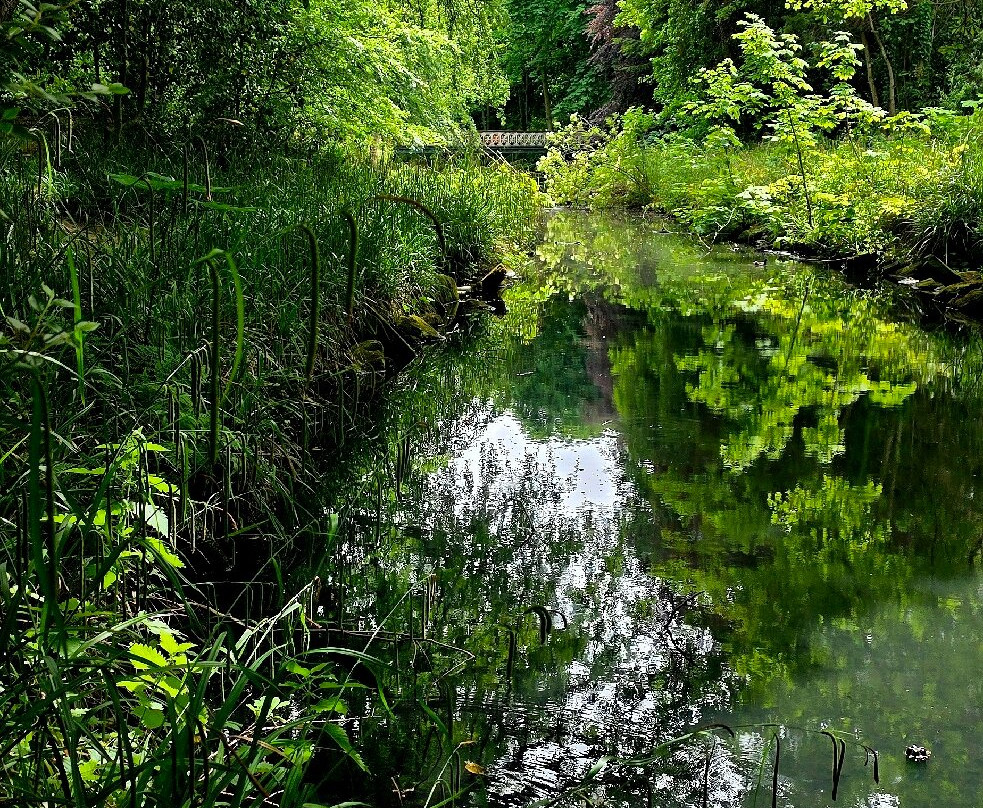 Botanical Gardens-绍斯波特必去景点