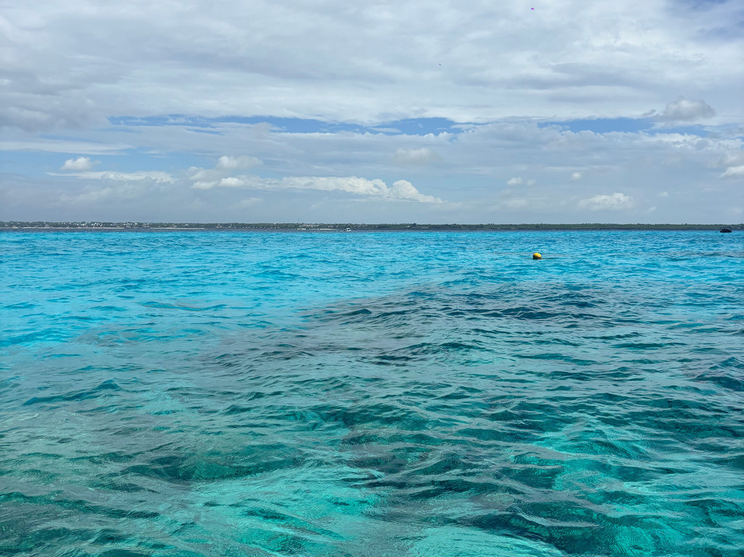 ScubaCaribe, Zanzibar-孥归必去景点