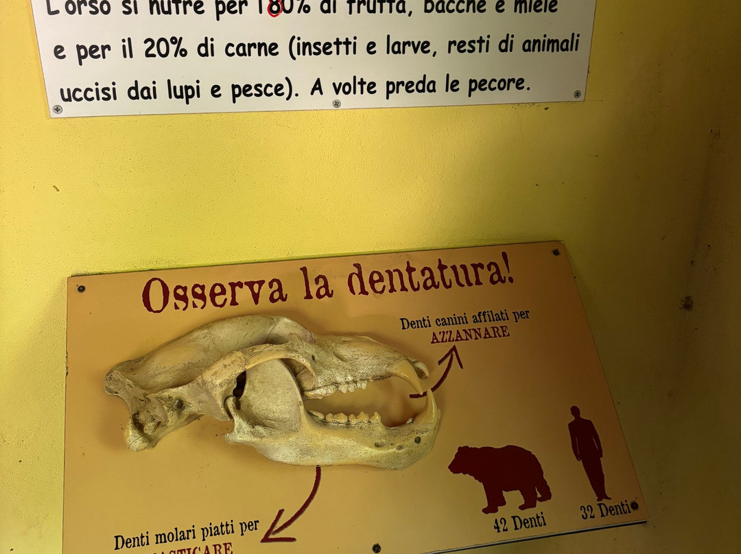 Giardino Zoologico Di Pistoia-皮斯托亚必去景点