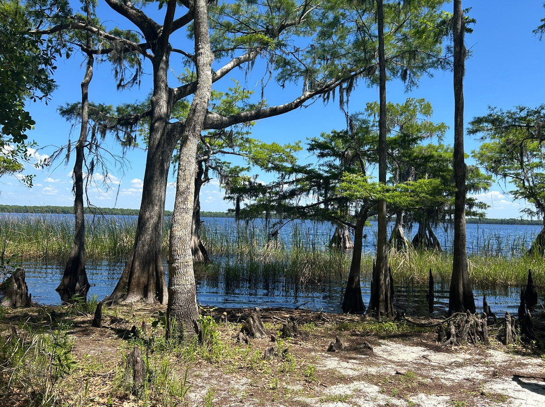 The Disney Wilderness Preserve-基西米必去景点