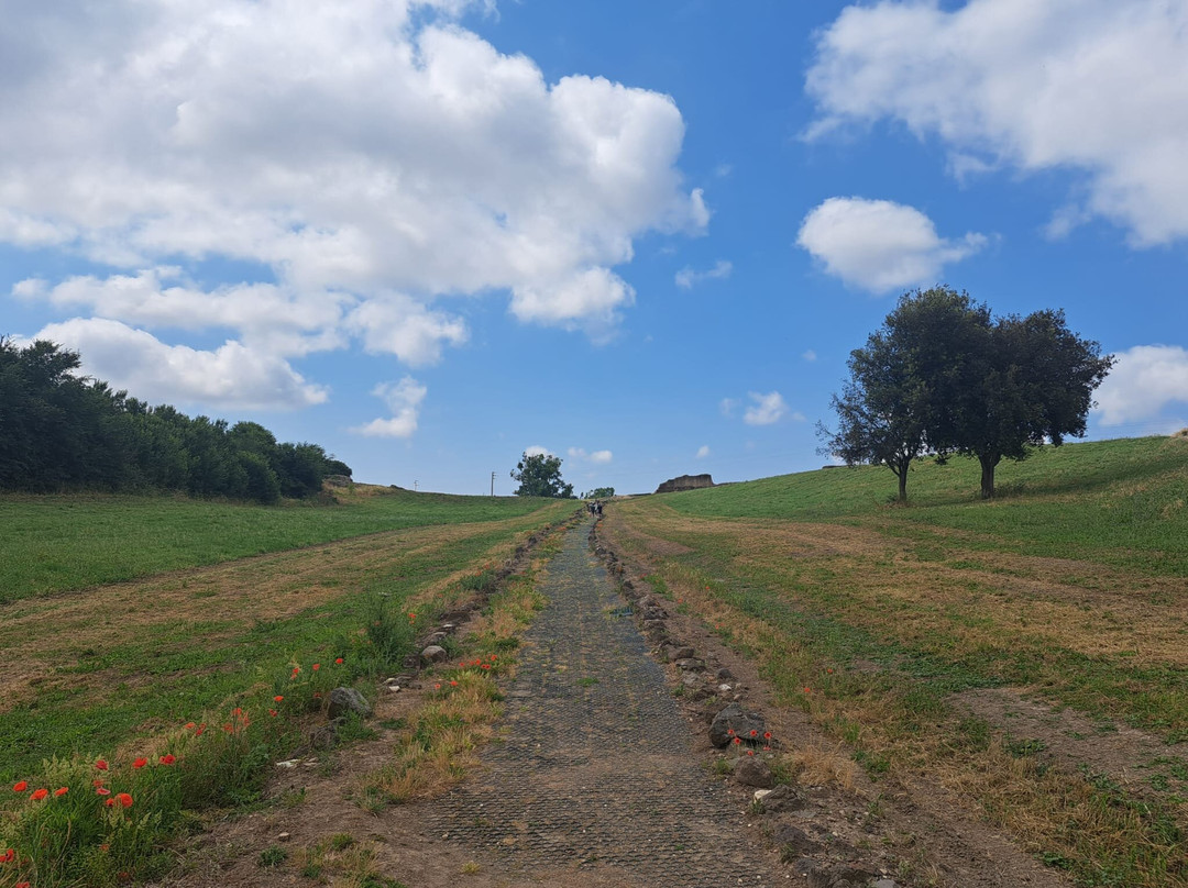Parco Archeologico Naturalistico di Vulci-Montalto di Castro必去景点