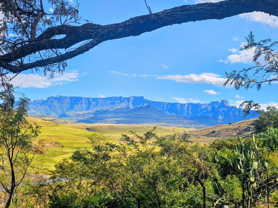 Hlalanathi Drakensberg Resort主图