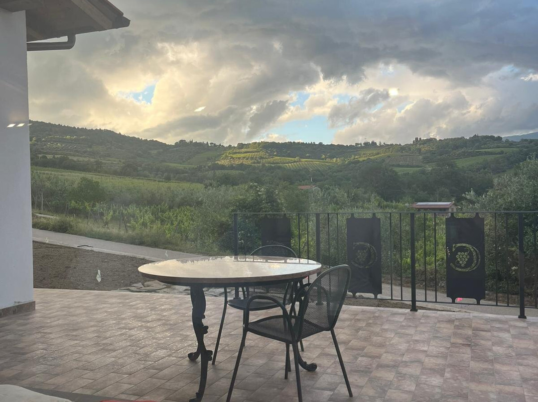 Azienda Agricola Cincinelli-Capolona必去景点