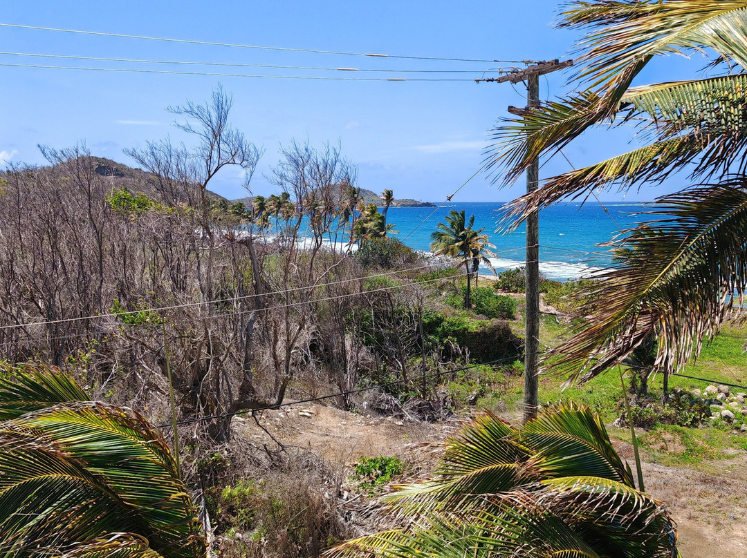 Atma Island Living