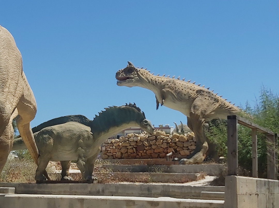 The Natural History Museum of Crete-伊拉克利翁必去景点