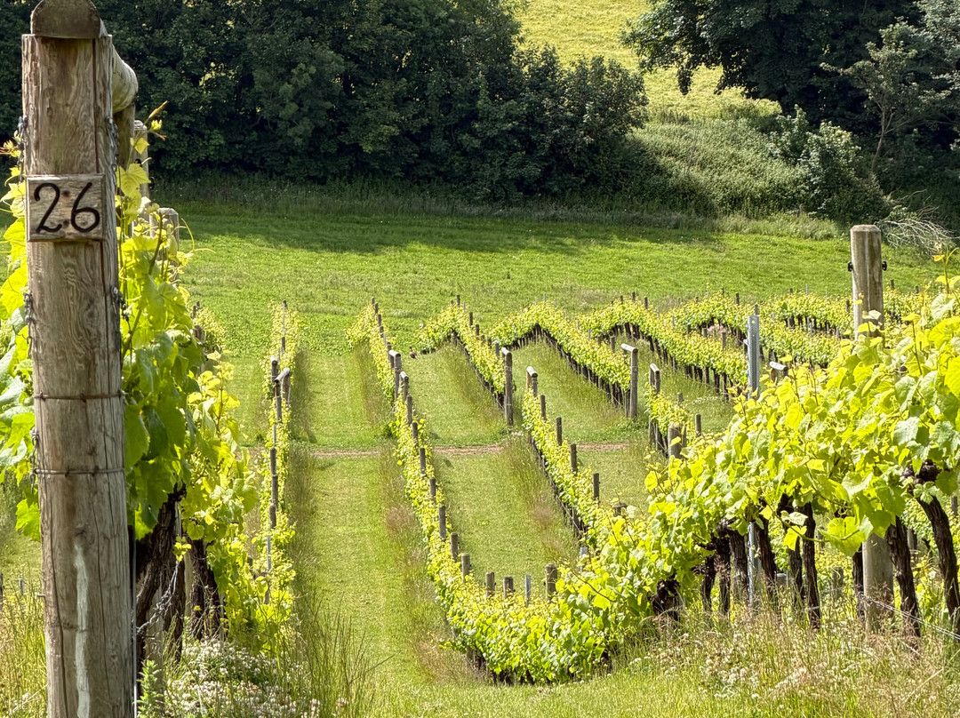 Sandridge Barton Wines-托特尼斯必去景点