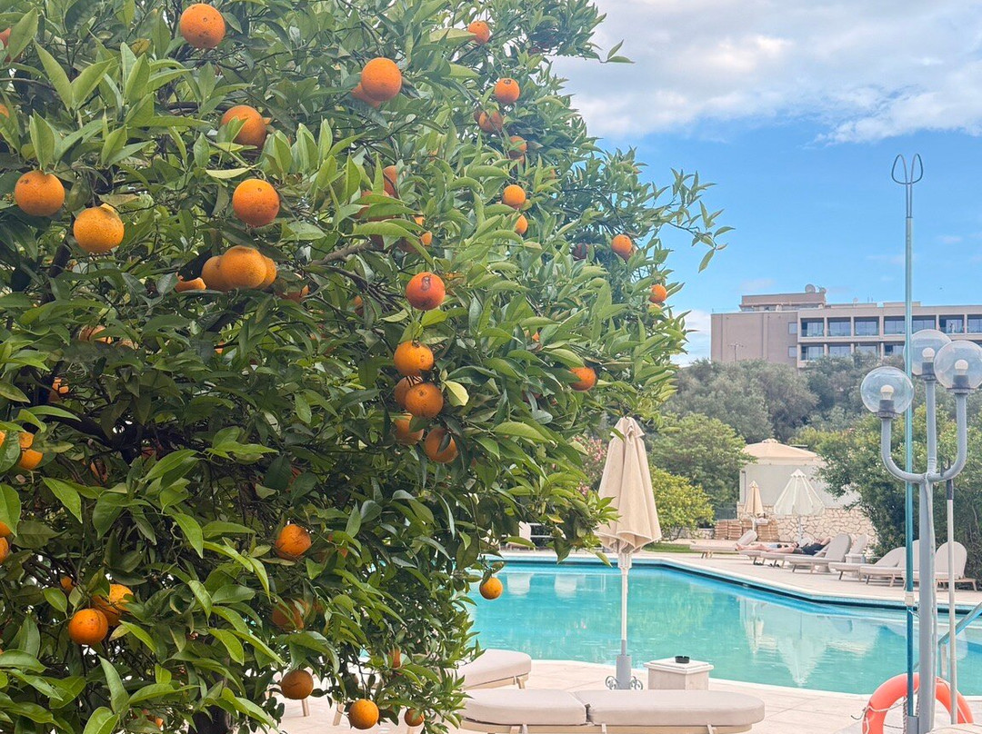 Livadi Nafsika Hotel主图