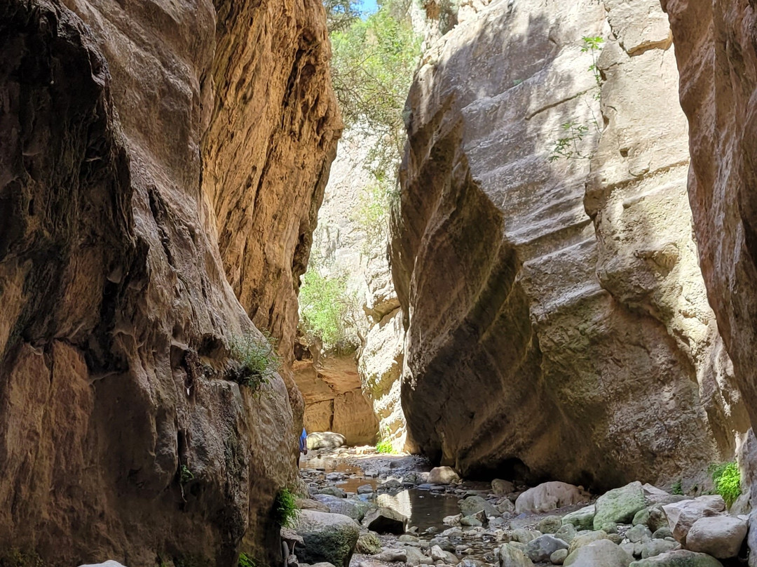 Avakas Gorge-帕福斯必去景点